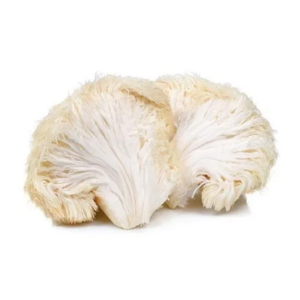 lions_mane