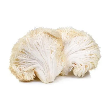 Lions Mane